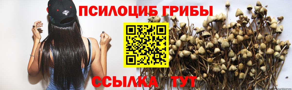 Десногорск  Галлюциногенные грибы Magic Shrooms  Вход с VPN 